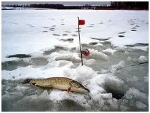 риболовля
