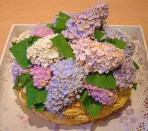 кухаря