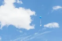 жираф