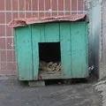 пошук
