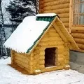 букв