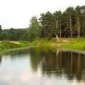 букв