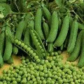 кульки