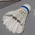 пошук