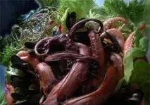 З’їсти Ктулху або як приготувати восьминога; ) - покроковий рецепт з фото ктулху