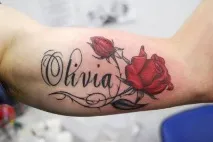 Сигна – це знак чого чого