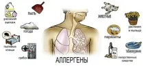 нежить