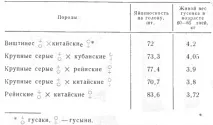 схрещування