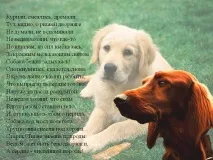 Собака біжить задихаючись Знайдіть