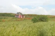 Спокій та безтурботність - Смішні Анекдоти Історії Цитати Афоризми Віршики Картинки прикольні смішні