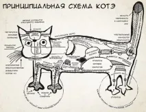 Способи комунікації у котів котів