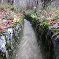 Середньоазіатська - пошук слів за маскою та визначенням, відповіді на сканворди слів