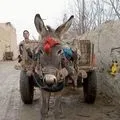 Середньоазіатська - пошук слів за маскою та визначенням, відповіді на сканворди відповіді