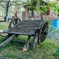 Середньоазіатська - пошук слів за маскою та визначенням, відповіді на сканворди визначенням
