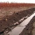 Середньоазіатська - пошук слів за маскою та визначенням, відповіді на сканворди слів