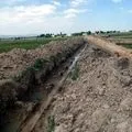 Середньоазіатська - пошук слів за маскою та визначенням, відповіді на сканворди слів