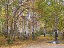 Вірші про осінь Фета вірші