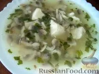 Супи, Картопля з грибами, рецепти з фото на 22 рецепти картопля