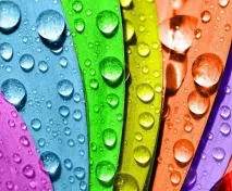 Як пофарбувати євроогорож своїми руками правильно інструкція, варіанти фарбування, фото - Легка справа євроогорож