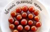 Томати найкращі сорти для Підмосков’я для теплиць та відкритого ґрунту теплиць