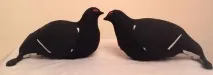 мисливський