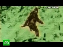 Труби горять Новий-новий-новий