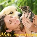 будинку