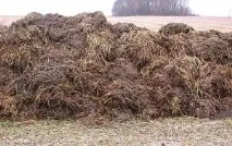 Питома вага гною, вага 1 м3 гною, щільність гною та таблиця значень питома