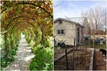 Дивовижна жива архітектура, яку ви можете створити своїми руками! архітектура