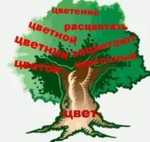 Урок на тему - Секрети кореня слова слова
