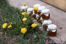 Варення з кульбаб - Будиночок Панди варення