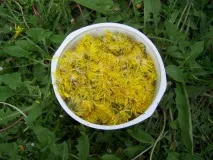 Варення з кульбаб кульбаб