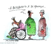 Веселі анекдоти про принців, Світ анекдотів анекдотів