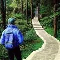 Замість скатертини - пошук слів за маскою та визначенням, відповіді на сканворди скатертини