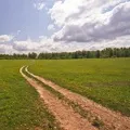 Замість скатертини - пошук слів за маскою та визначенням, відповіді на сканворди слів