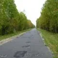 Замість скатертини - пошук слів за маскою та визначенням, відповіді на сканворди пошук