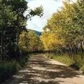 Замість скатертини - пошук слів за маскою та визначенням, відповіді на сканворди маскою