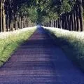 Замість скатертини - пошук слів за маскою та визначенням, відповіді на сканворди маскою