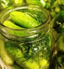 Смачні огірочки на зиму – найкращі рецепти в банках, День дачника рецепти