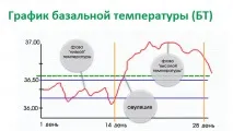 Чи можливо завагітніти під час місячних завагітніти