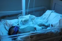 У тамбовському пологовому будинку відкриють палати для партнерських пологів, ІА “” тамбовському