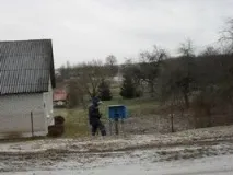 Все цікаве про маргаритку, Дачні секрети секрети