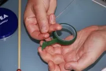 холодний