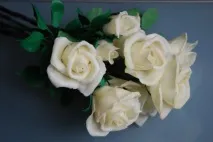 фарфор