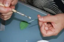 фарфор