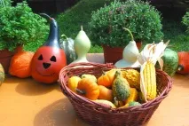 Як святкувати Хелловін, Гід по подорожах хелловін