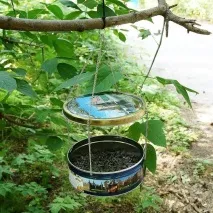 Як побудувати прикрасити та розфарбувати годівницю для птахів годівницю