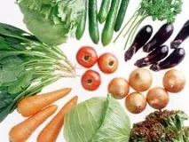 Виразковий коліт види, способи лікування, симптоми виразковий