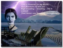 Я чула дзижчання мухи мухи