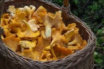 Заморозка на зиму. Далі